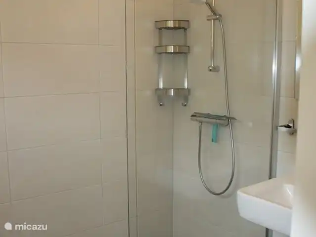 Een inloopdouche en aparte wastafel met spiegel.